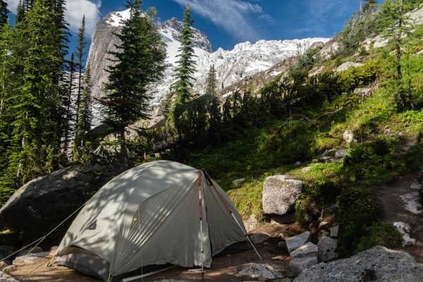 white dome tent near trees under blue sky