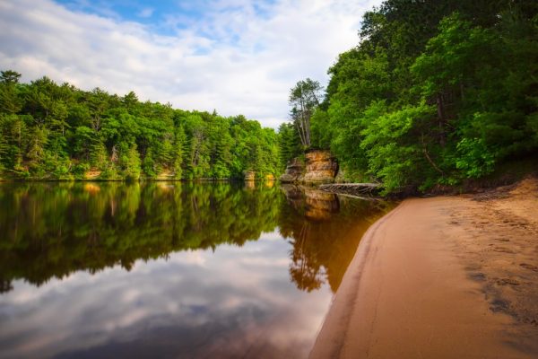 trees near lake