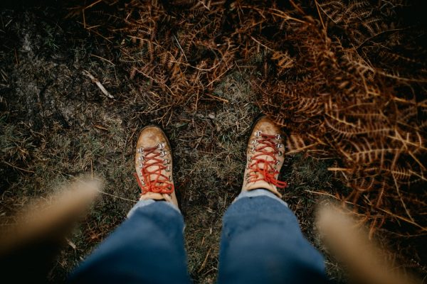 Lowa Renegade GTX Mid Boots Review: Best All-Terrain 2026