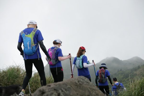 Black Diamond vs Leki Trekking Poles: The Best 2026 Comparison