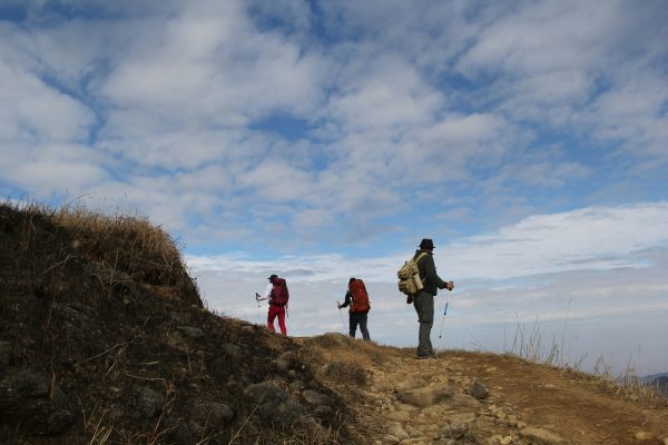 Three hikers using trekking poles on a mountain trail
