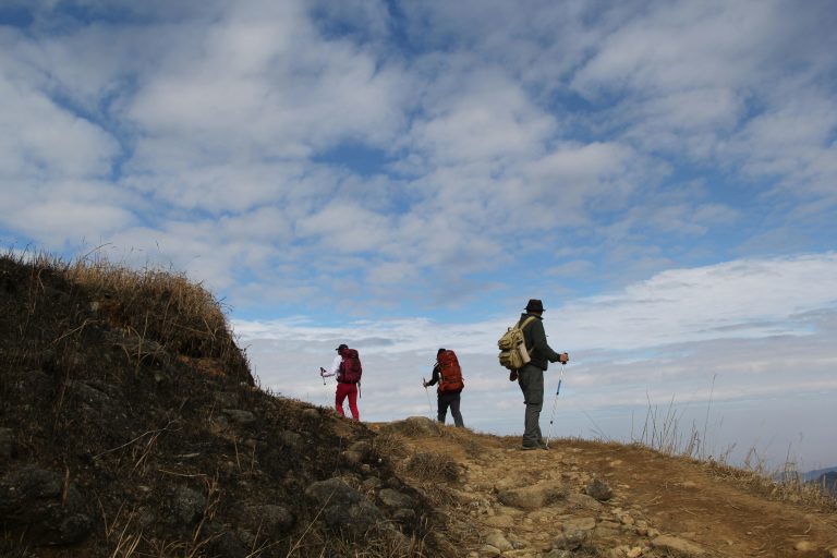 Three hikers using trekking poles on a mountain trail