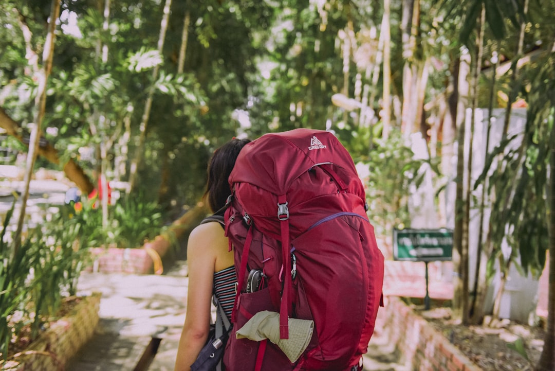 green and black backpack on brown wooden log