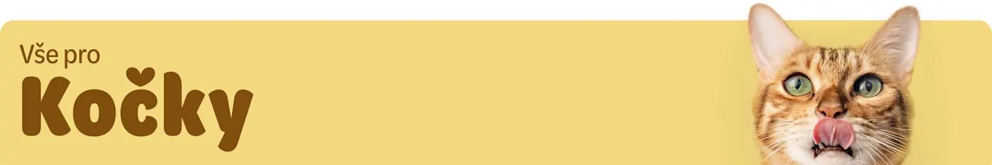 Dog and cat supplies in the Zoohit online store