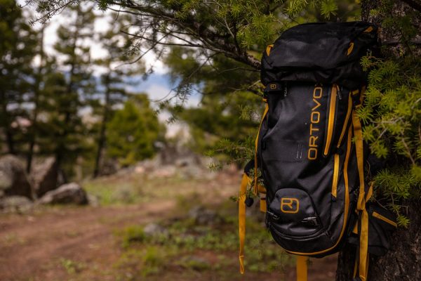 Backpack hanging from a tree during a backcountry trip
