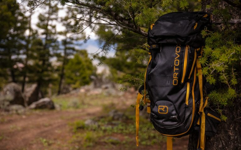 Backpack hanging from a tree during a backcountry trip