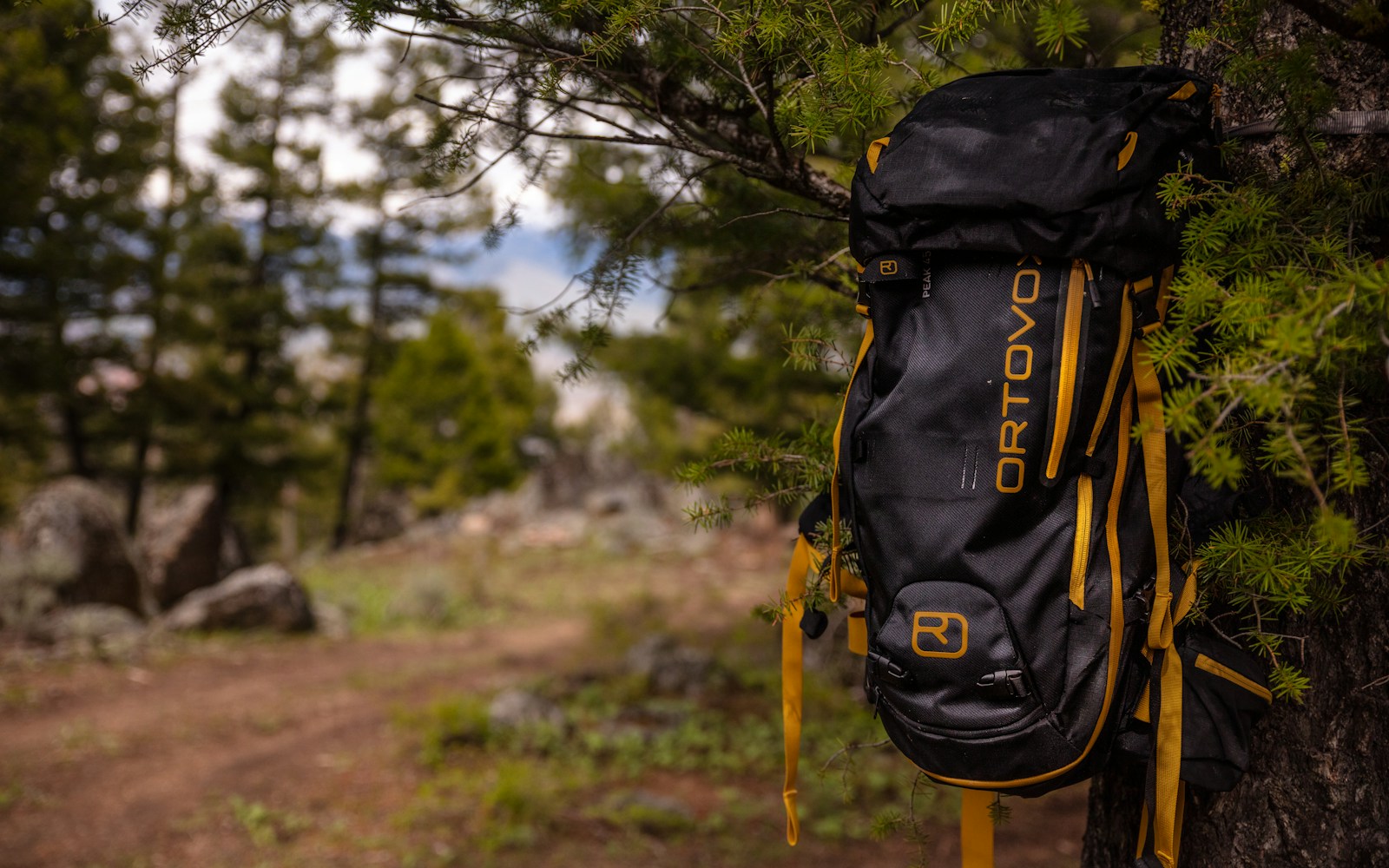 Backpack hanging from a tree during a backcountry trip