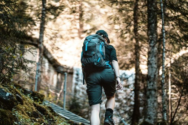 Hiker wearing outdoor pants on a forest boardwalk