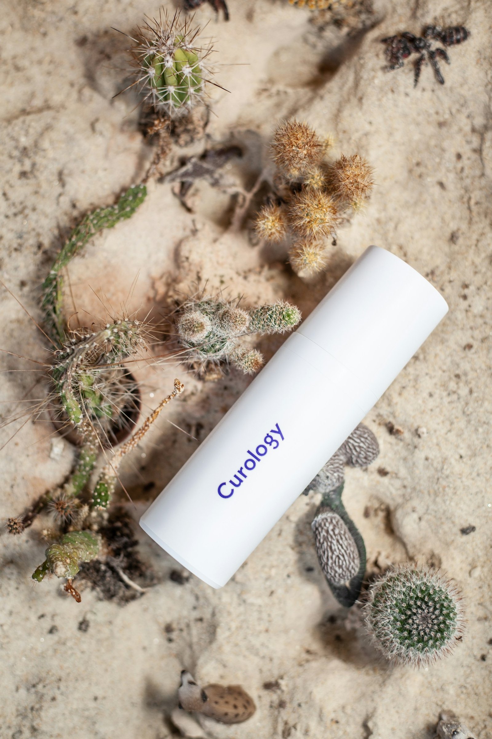 Sunscreen and skincare products arranged for outdoor travel