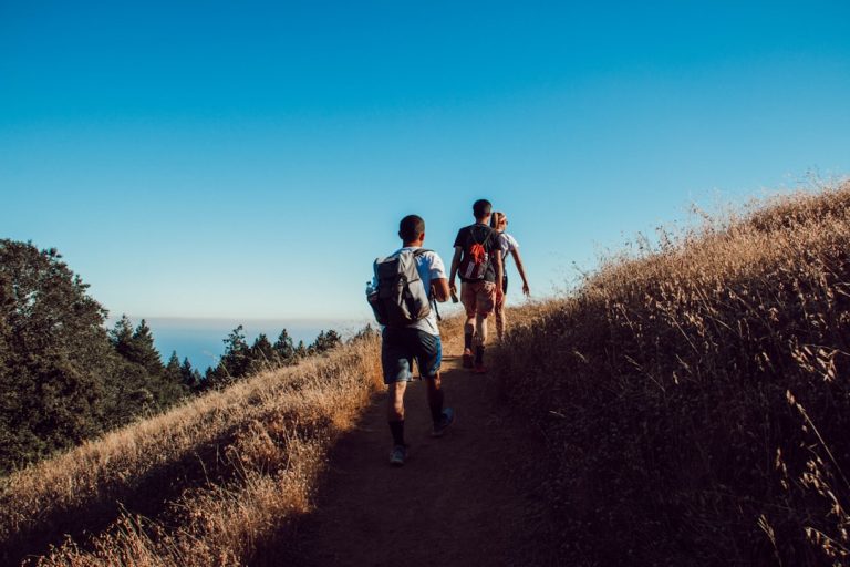Two hikers with backpacks walking along a trail toward snow-capped mountains