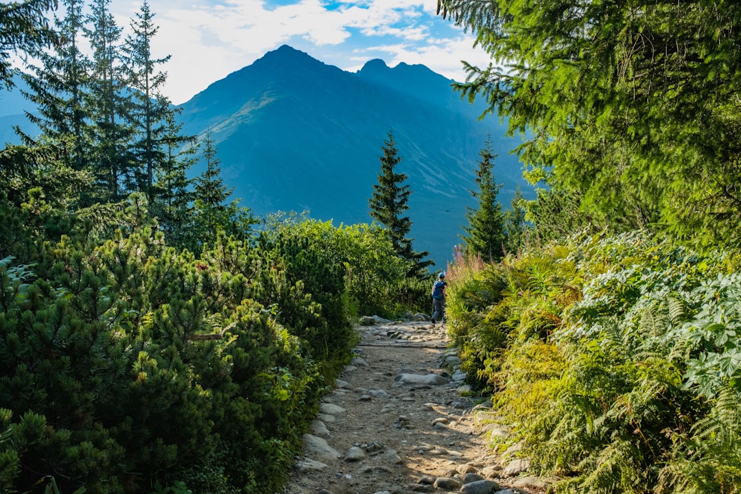 Two hikers with backpacks walking along a trail toward snow-capped mountains