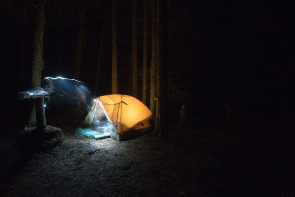 orange camping tent near green trees