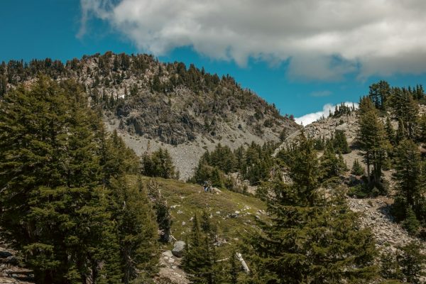 gray and brown mountain beside body of water