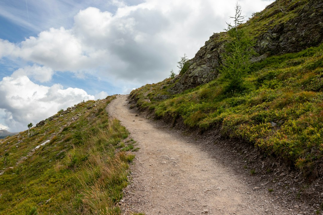 Two hikers with backpacks walking along a trail toward snow-capped mountains